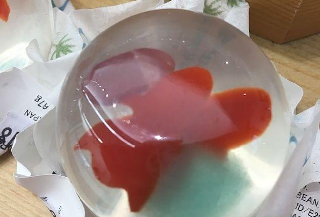 A Japanese sweet cake in the shape of a goldfish