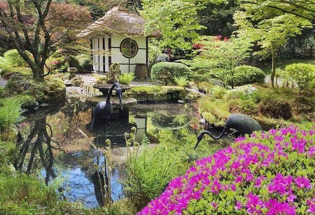 A Japanese garden with many flowers and a pond