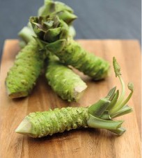 Wasabi Rhizomes on a wooden chopping board