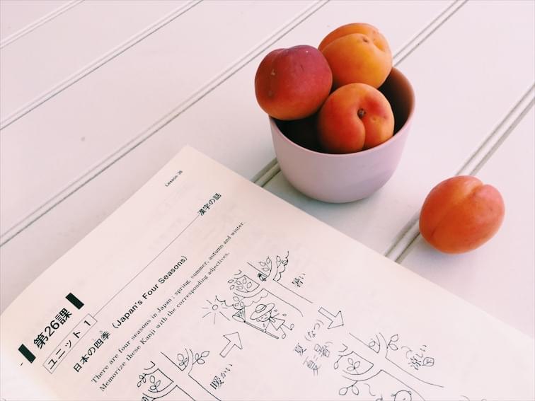 A Japanese language textbook on a desk with a bowl of peaches next to it