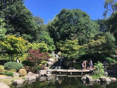 A Japanese garden with a lake and trees